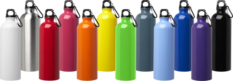 Oregon 750 ml RCS-zertifizierte, einwandige Trinkflasche aus Edelstahl mit Karabinerhaken